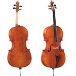 Dan Pearl River Cello C033