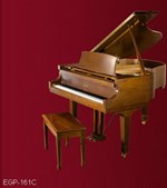 Đàn Piano Brandnew Essex EGP-161C