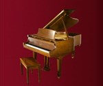 Đàn Piano Brandnew Essex EGP-183C