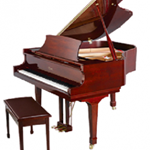 Đàn Piano Brandnew Essex EGP-155C