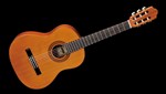 Famosa Guitar FC20C/38