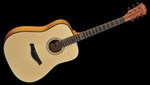 Famosa Acoustic Guitar FD20S