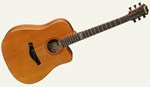 Famosa Acoustic Guitar FD25CU