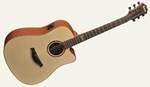 Famosa Acoustic Guitar FD25SUE