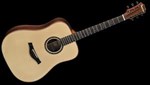 Famosa Acoustic Guitar FD85S