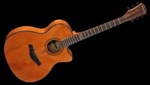 Famosa Acoustic Guitar FF10AU