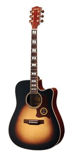 Adonis Acoustic Guitar AGW4115C