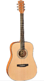 Adonis Acoustic Guitar AGW4116