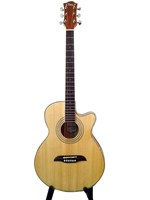 Monica Acoustic Guitar 4005