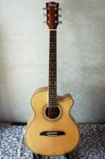 Monica Acoustic Guitar 4106