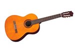  Đàn Guitar C Series-C40 