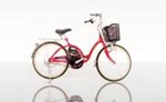 Xe đạp điện NISHIKI - N24 