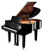 Grand Piano Yamaha C3 PE